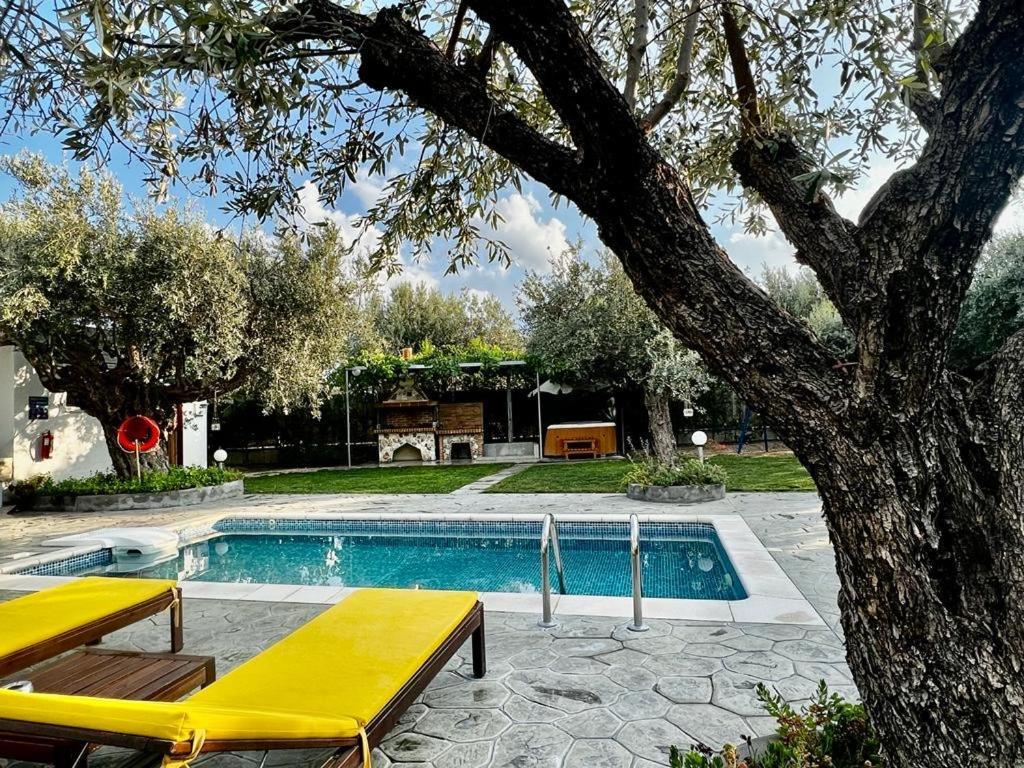 Olive Sense With Jacuzzi And Sauna *