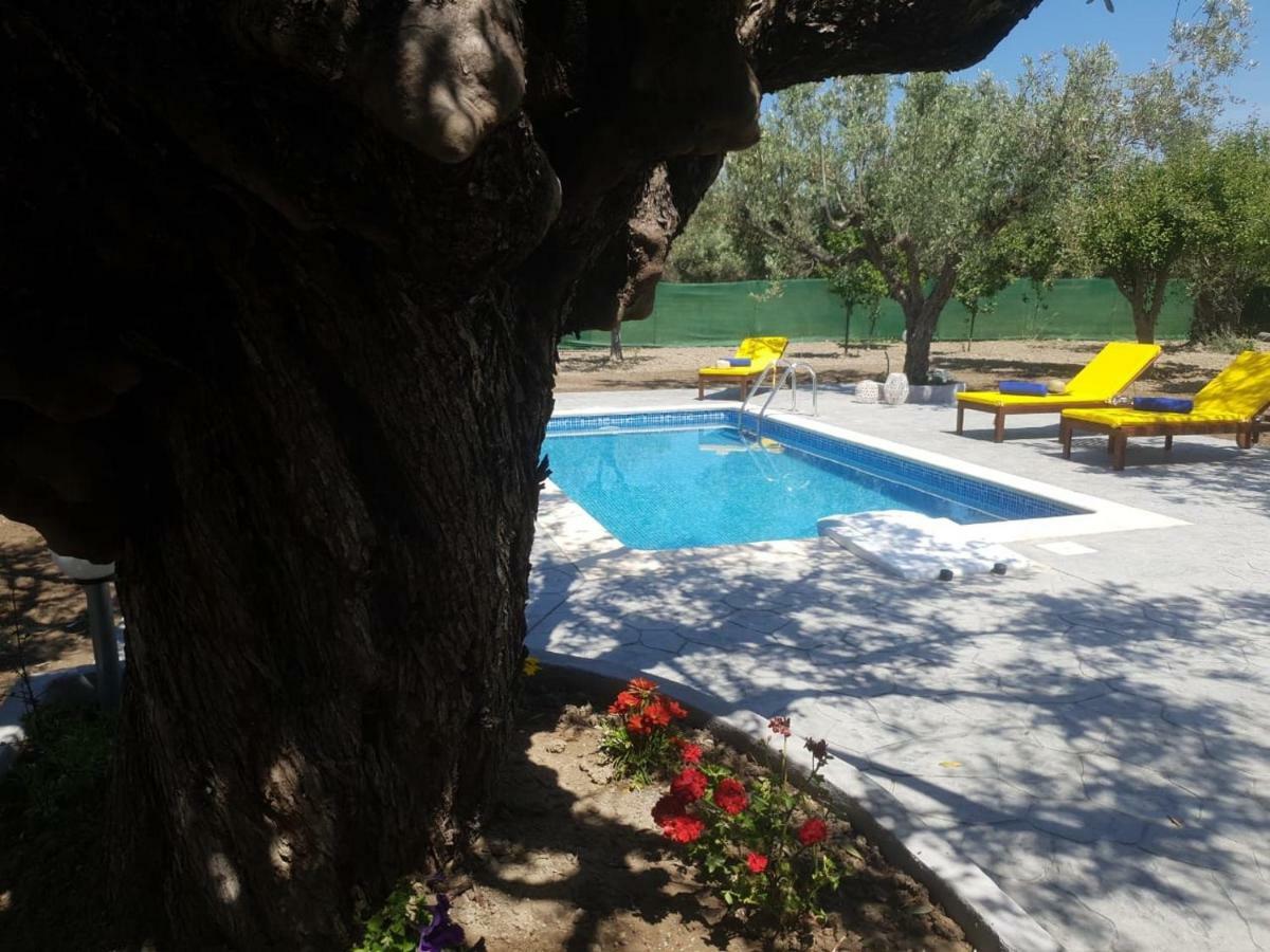 Olive Sense With Jacuzzi And Sauna Villa *
