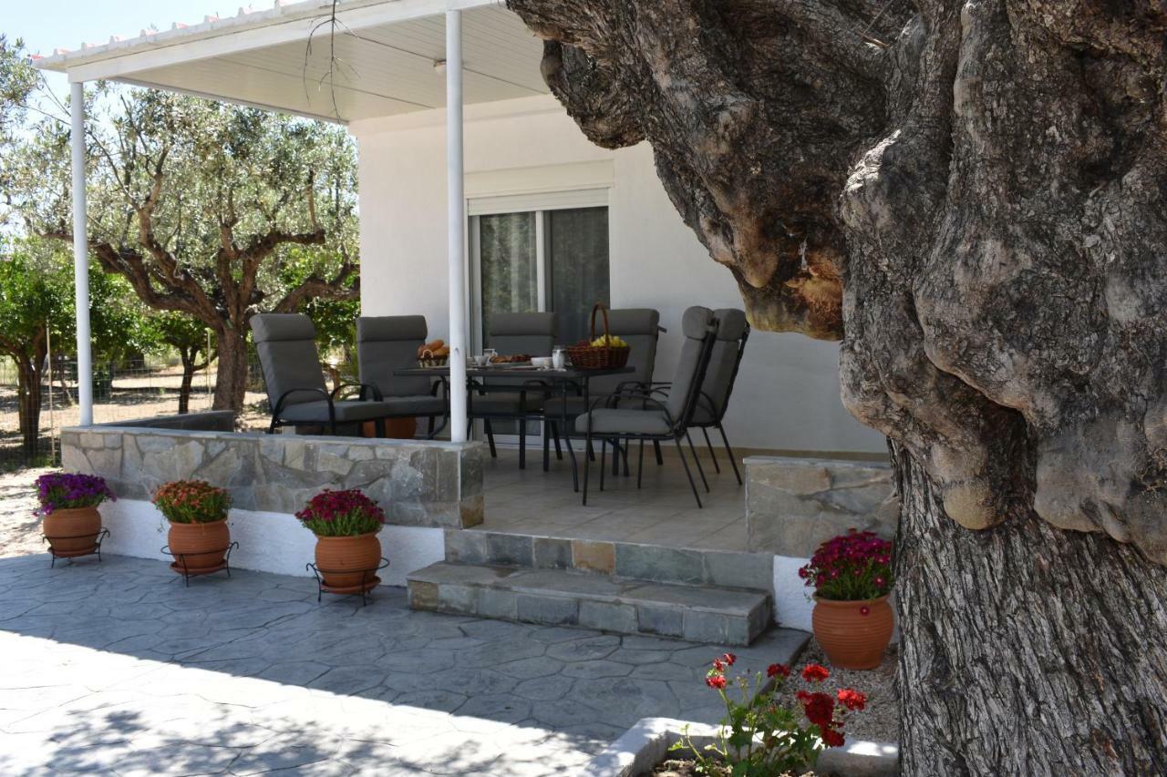 Villa Olive Sense With Jacuzzi And Sauna Afantou