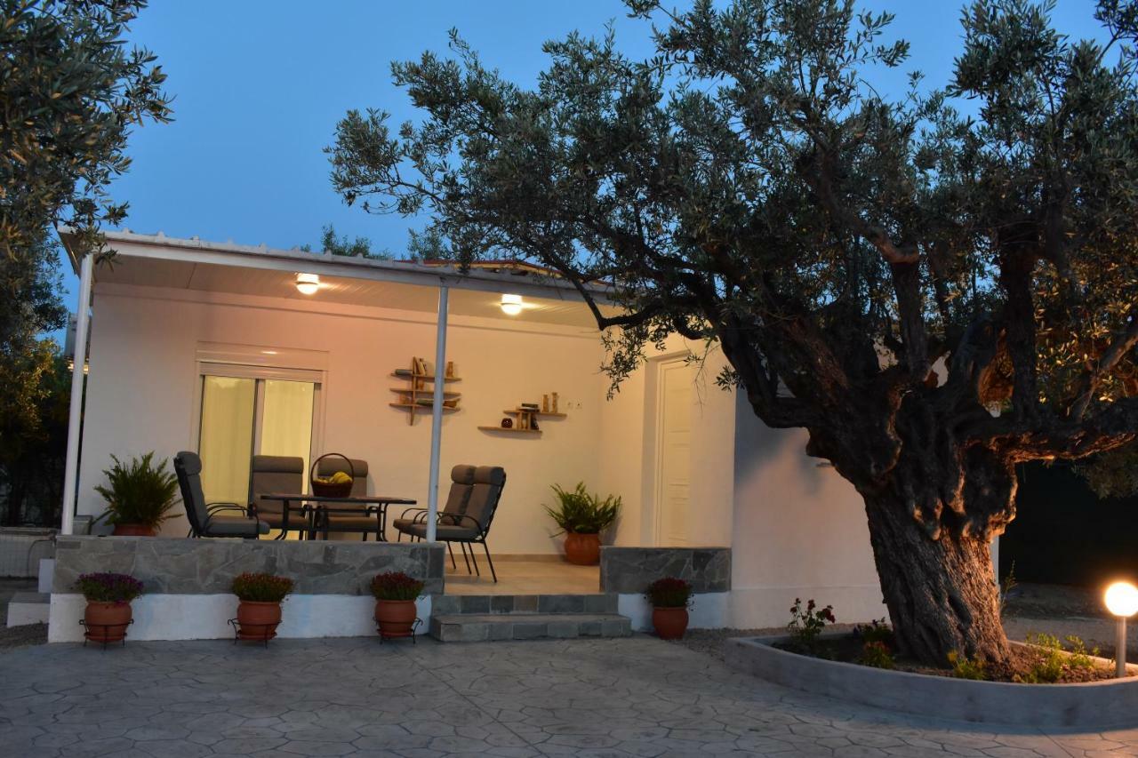 Olive Sense With Jacuzzi And Sauna